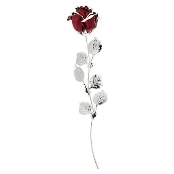 Rose rouge 30 cm Bagutta remerciement